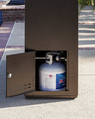 The Williams Fireplace