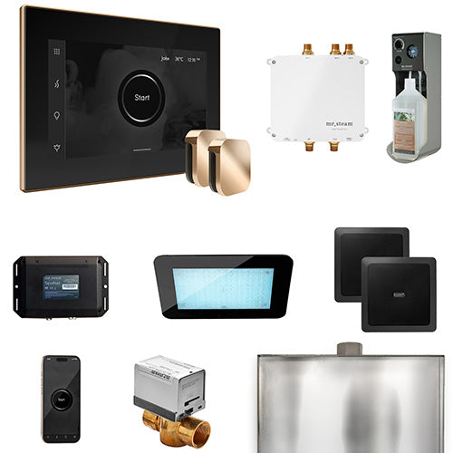 Mr.Steam Bliss Max Control Pkg